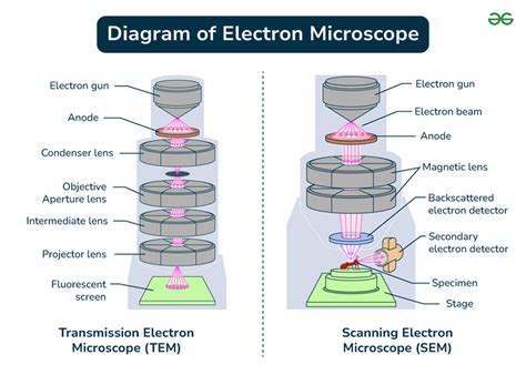 electron microscope parts|Parts of an Electron Microscope .